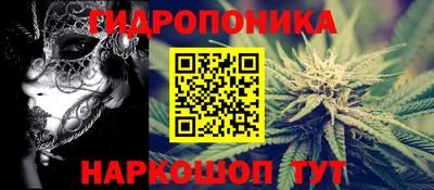 таблы Бердск
